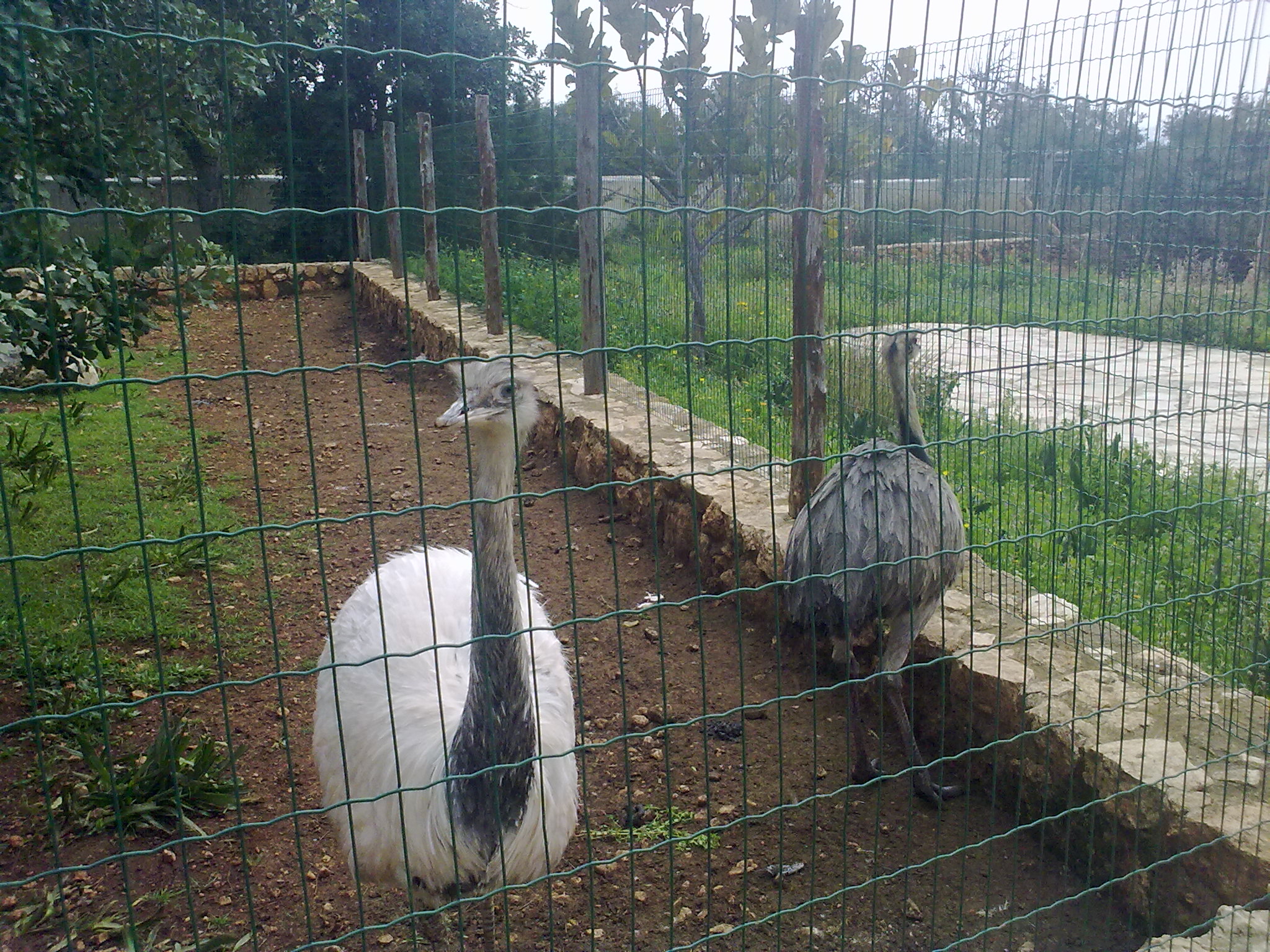 Should I share my location? Maybe the dating sites ads will dissapear